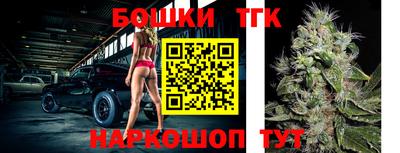 гашик Аргун