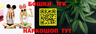 гашик Аргун