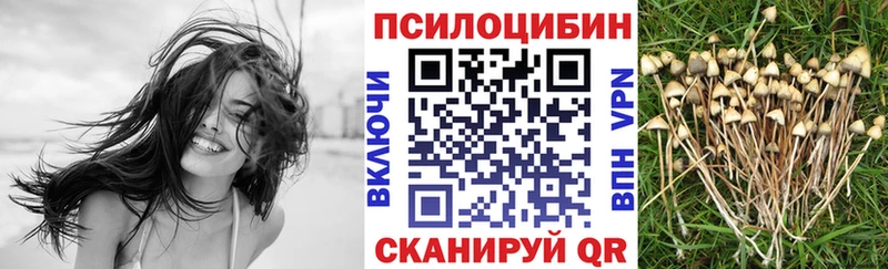Псилоцибиновые грибы MAGIC MUSHROOMS купить сайты Белорецк