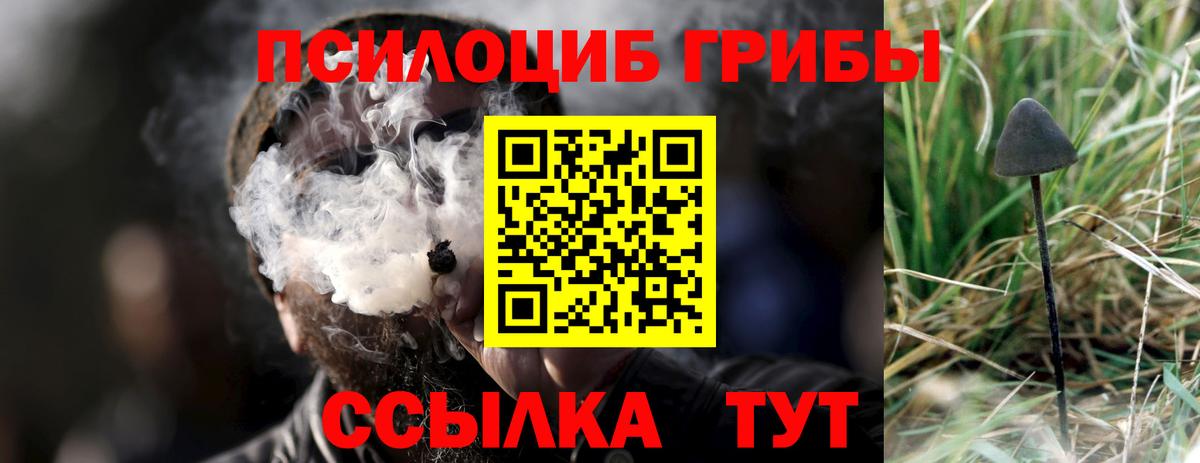 Белорецк  Галлюциногенные грибы MAGIC MUSHROOMS  Вход с VPN 