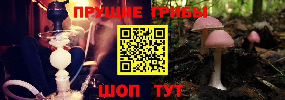 Псилоцибиновые грибы мицелий Белорецк