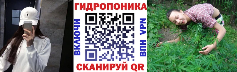 блэк спрут ссылки  сколько стоит  Белорецк  МАРИХУАНА ГИДРОПОН 